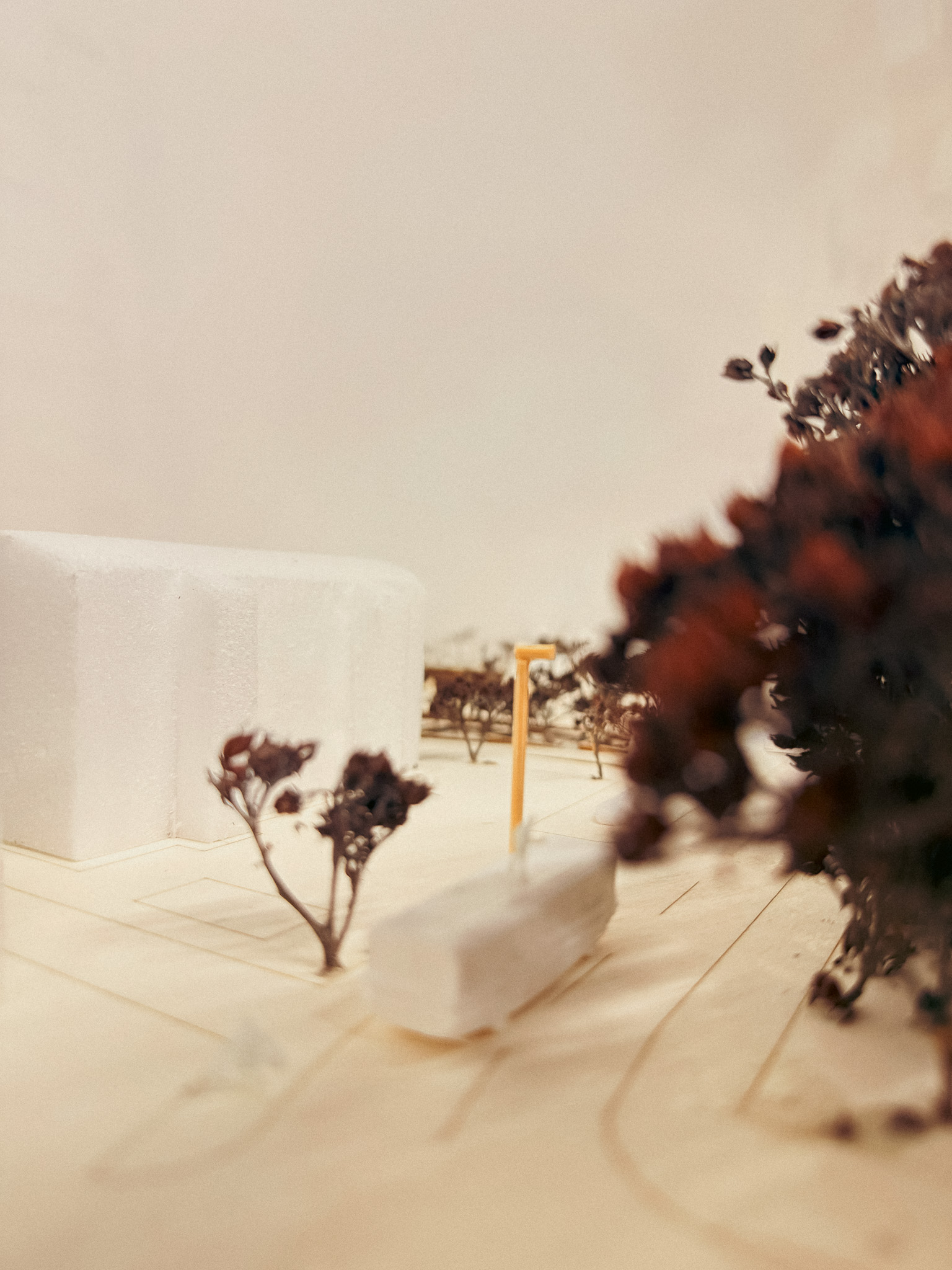 Casa Ombra — offset portrait of interior threshold